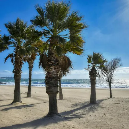 Le Cesaree-2 By Interhome Appartement *